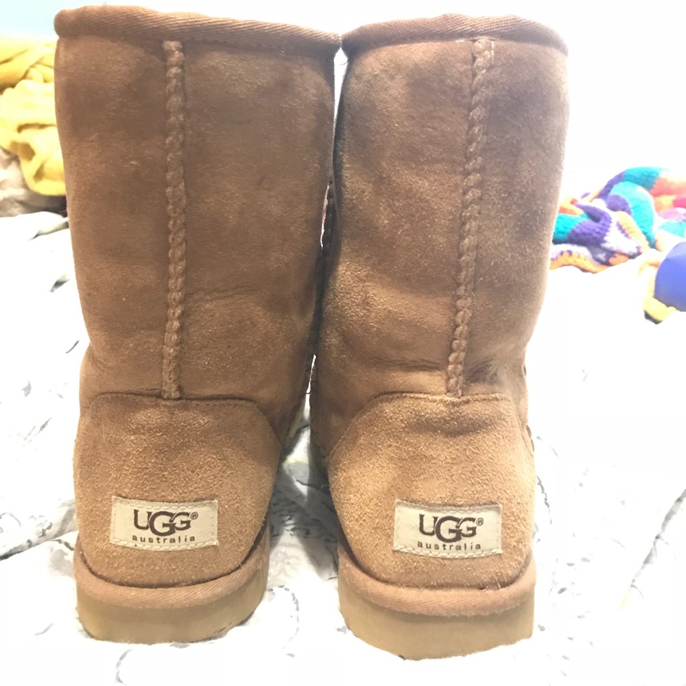 Chestnut Uggs low rise